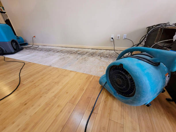 Reliable Basement Flood Cleanup contractor in Siler City, NC by Hirex Water Damage