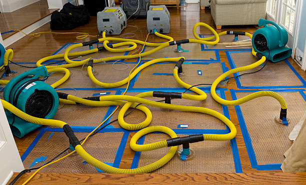 Professional Basement Flood Cleanup technician working in Siler City, NC